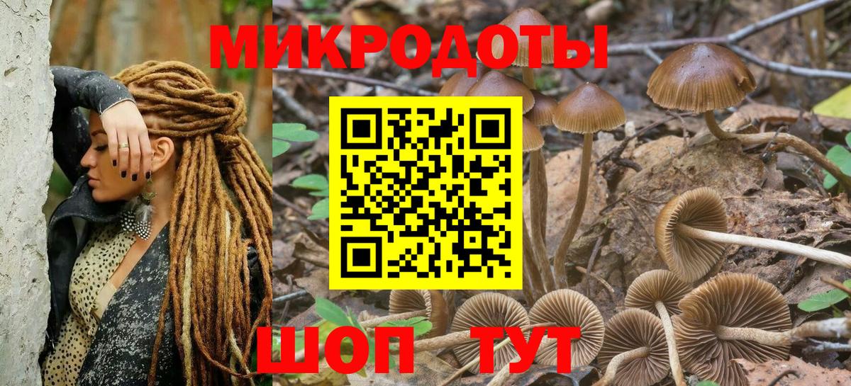 Галлюциногенные грибы ЛСД Новый Уренгой