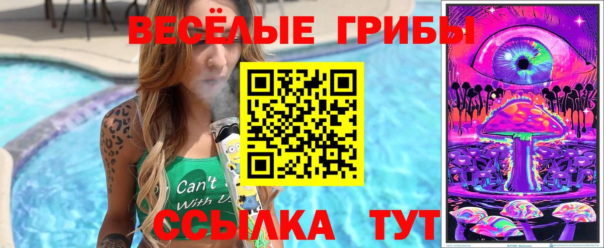 Псилоцибиновые грибы ЛСД  Вход с VPN  Новый Уренгой 